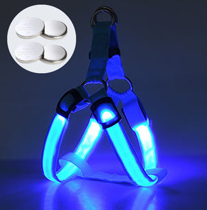 Luminous Dog Harness Rechargeable or Battery Powered