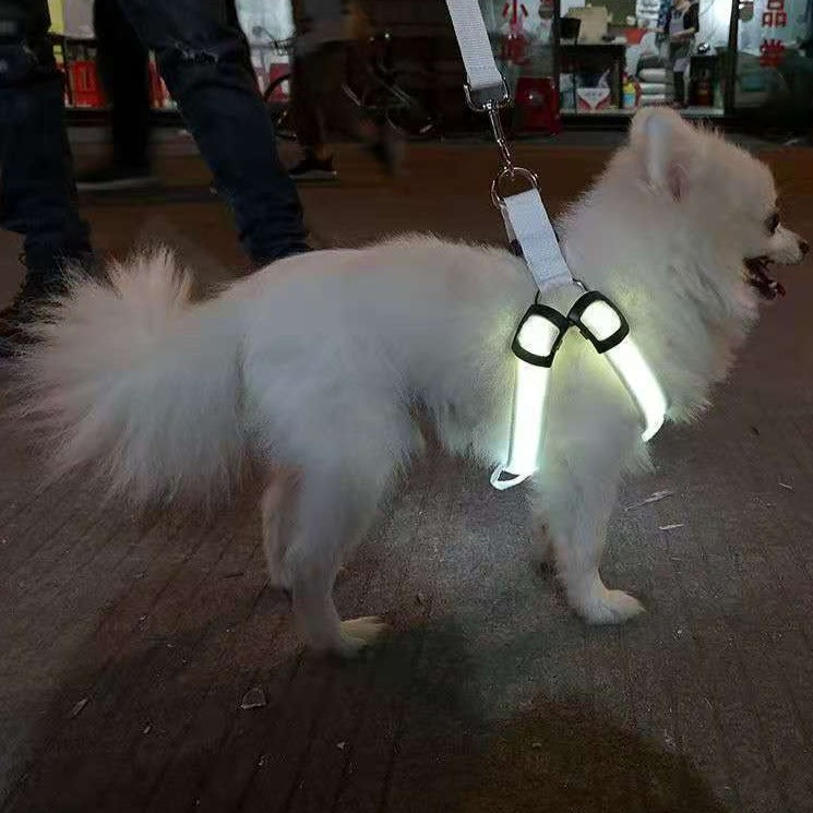Luminous Dog Harness Rechargeable or Battery Powered