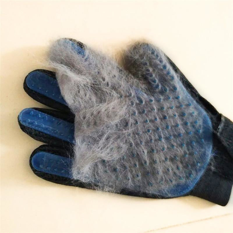 Dog Brush Gloves - Shop Above Standard